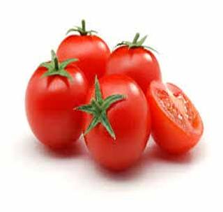 Tomato-producing farmers under debt burden | टोमॅटो उत्पादक शेतकरी कर्जाच्या ओझ्याखाली Tomato-producing farmers under debt burden | टोमॅटो उत्पादक शेतकरी कर्जाच्या ओझ्याखाली