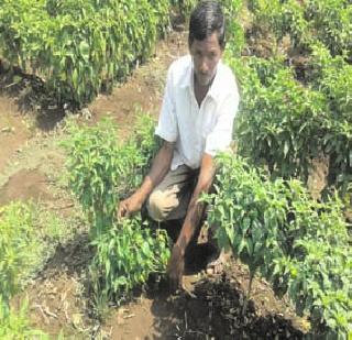 The worrisome atmosphere of the farmer | शेतकरीवर्गात चिंतेचे वातावरण The worrisome atmosphere of the farmer | शेतकरीवर्गात चिंतेचे वातावरण