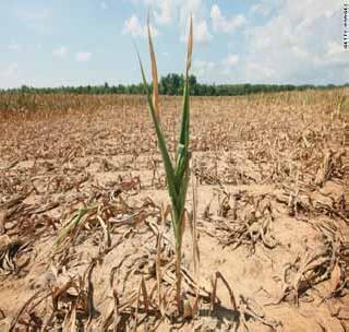 Agriculture scientists retirement age; But what about the scarf related to the health of the people? | कृषी शास्त्रज्ञांचे निवृत्ती वय वाढले; पण जनतेच्या आरोग्याशी निगडित खारपाणपट्टय़ाचे काय?