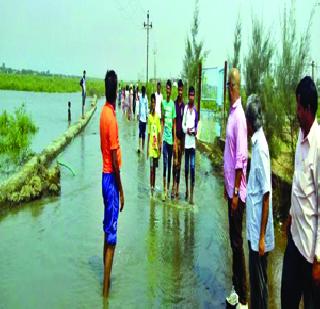 Road drainage under water | रस्ता उधाणाच्या पाण्याखाली