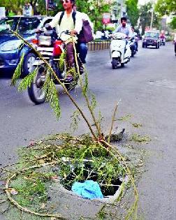 Dangerous pit: | धोकादायक खड्डा : Dangerous pit: | धोकादायक खड्डा :