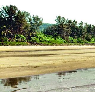 To cut off unauthorized bungalows on the coast | किनाऱ्यावरील अनधिकृत बंगले पाडणार To cut off unauthorized bungalows on the coast | किनाऱ्यावरील अनधिकृत बंगले पाडणार