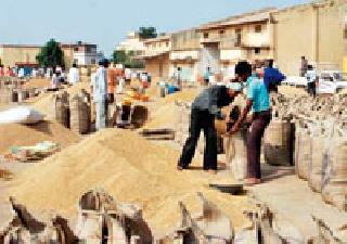 Exports to the Rice Mill Industry Crisis | निर्यात बंदीमुळे राईस मिल उद्योग संकटात Exports to the Rice Mill Industry Crisis | निर्यात बंदीमुळे राईस मिल उद्योग संकटात