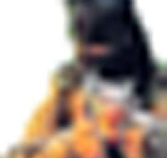 No Entree Village Malakhmal for Naxals | नक्षल्यांना नो एन्ट्री गाव मालामाल No Entree Village Malakhmal for Naxals | नक्षल्यांना नो एन्ट्री गाव मालामाल