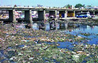 Avoid Godavari Pollution, Only 60 Days! | गोदावरीचे प्रदूषण टाळा, फक्त ६० दिवस!