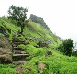 Rajmachi Fort study by the naturalists took place | निसर्गयात्रींनी केला राजमाची गडाचा अभ्यास Rajmachi Fort study by the naturalists took place | निसर्गयात्रींनी केला राजमाची गडाचा अभ्यास