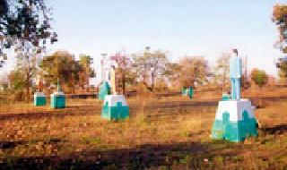 The city of Sihali, which cultivates social commitment | सामाजिक बांधिलकी जोपासणारे सिहरी गाव The city of Sihali, which cultivates social commitment | सामाजिक बांधिलकी जोपासणारे सिहरी गाव