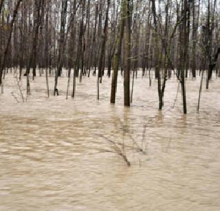 Floods in Jammu and Kashmir, 10 killed | जम्मू काश्मीरमध्ये पुराचा धोका, दरड कोसळून १० ठार