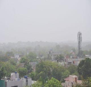 Dust storms and bone! | धूळ वादळाने झाकला व-हाड! Dust storms and bone! | धूळ वादळाने झाकला व-हाड!