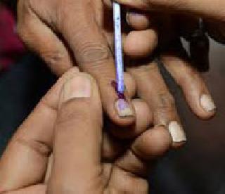 In subdivision, 42 per cent of the population and 53 per cent voting in Tasgaon | पोटनिवणुकीत वांद्र्यात ४२ टक्के तर तासगावमध्ये ५३टक्के मतदान