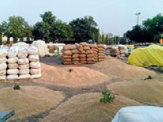 Millions of grains are open | कोट्यवधींचे धान्य उघड्यावर Millions of grains are open | कोट्यवधींचे धान्य उघड्यावर