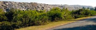 Agriculture, dungeon yard of Maunal on forest land | शेती, वनजमिनीवर मॉईलचे ‘डम्पिंग यार्ड’ Agriculture, dungeon yard of Maunal on forest land | शेती, वनजमिनीवर मॉईलचे ‘डम्पिंग यार्ड’