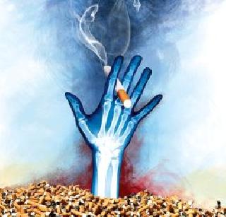 Tobacco | तंबाखू Tobacco | तंबाखू