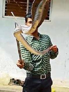 Inspection: | तपासणी : Inspection: | तपासणी :