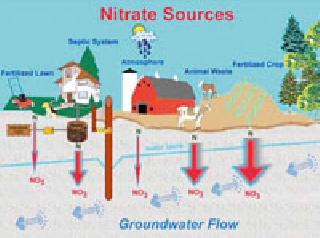 Nitrate in 3 thousand 9 17 water sources in the district | जिल्ह्यातील ३ हजार ९१७ पाणी स्रोतांमध्ये नायट्रेट