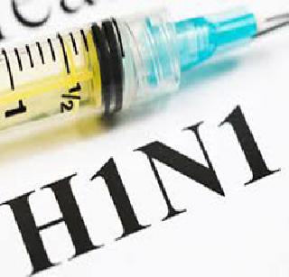 Swine Flu Removed on the Head again | स्वाइन फ्लूने पुन्हा डोके वर काढले