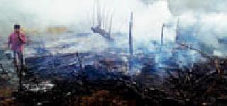 The fire broke out in the fire ... | आगीत गोठा खाक... The fire broke out in the fire ... | आगीत गोठा खाक...