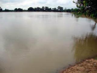 Forget the depth of the pool | तलाव खोलीकरणाचा विसर Forget the depth of the pool | तलाव खोलीकरणाचा विसर