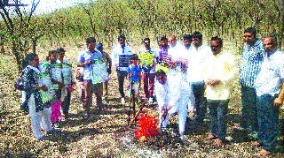 Planting thousand trees at the gallows | फाशीचा डोंगर येथे हजार वृक्षांची लागवड Planting thousand trees at the gallows | फाशीचा डोंगर येथे हजार वृक्षांची लागवड