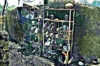 Accident: 41 animals killed; 35 lakhs losses | दुर्घटना : ४१ जनावरे होरपळून ठार ; ३५ लाखाचे नुकसान Accident: 41 animals killed; 35 lakhs losses | दुर्घटना : ४१ जनावरे होरपळून ठार ; ३५ लाखाचे नुकसान