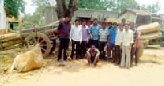 Lakhs of Pawan and Lakhans seized along with the bagels | बैलबंड्यांसह पावणेतीन लाखांचे सागवान जप्त Lakhs of Pawan and Lakhans seized along with the bagels | बैलबंड्यांसह पावणेतीन लाखांचे सागवान जप्त