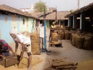 Paddy procurement increased by 40 percent | धान खरेदी ४० टक्क्यांनी वाढली