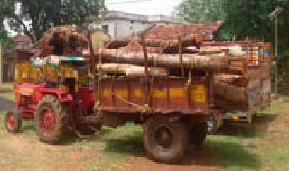 Wooden Depot of Yours Forest Office? | तुमसरचे वन कार्यालय की लाकडांचा डेपो? Wooden Depot of Yours Forest Office? | तुमसरचे वन कार्यालय की लाकडांचा डेपो?
