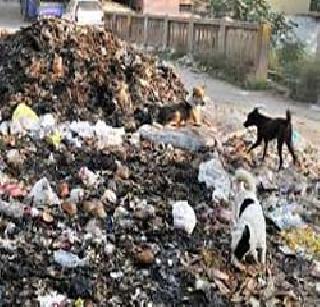 The corporation does not have a different garbage dump | कचरा वेगळा करणारी यंत्रणा पालिकेकडे नाही