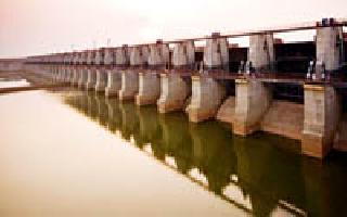 Gosekhurd Canal Works Slowly | गोसेखुर्द कालव्याची कामे संथगतीने Gosekhurd Canal Works Slowly | गोसेखुर्द कालव्याची कामे संथगतीने