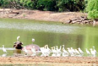 Water conservation: | जलविहार :