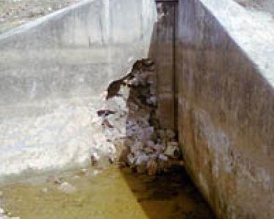 The pond wall breaks | तलावाच्या भिंतीला भगदाड . The pond wall breaks | तलावाच्या भिंतीला भगदाड .