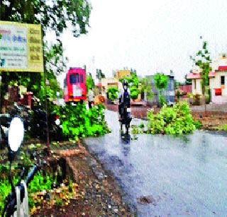 Rainfall in Baramati, Indapur taluka | बारामती, इंदापूर तालुक्यात अवकाळी पाऊस