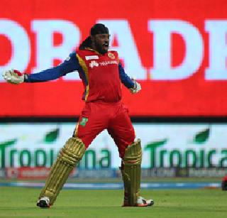 Royal Kings beat Bengaluru in Punjab | बेंगळुरुचा पंजाबवर 'रॉयल' विजय Royal Kings beat Bengaluru in Punjab | बेंगळुरुचा पंजाबवर 'रॉयल' विजय
