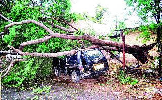 Presence of pre-monsoon rain in the district | जिल्ह्यात मान्सूनपूर्व पावसाची हजेरी