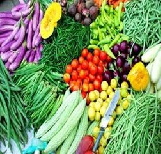 From the fresh vegetable gardens directly to the house | ताजी भाजी मळ्यातून थेट घरात From the fresh vegetable gardens directly to the house | ताजी भाजी मळ्यातून थेट घरात