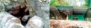 Nature's beautiful 'Bandarajira' | निसर्ग सौंदर्याने नटलेले ‘बंदरझिरा’ Nature's beautiful 'Bandarajira' | निसर्ग सौंदर्याने नटलेले ‘बंदरझिरा’