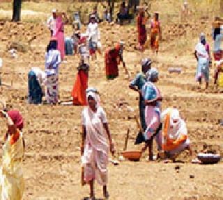 Employment Guarantee, Decrease Work | रोजगाराची हमी, कामे कमी Employment Guarantee, Decrease Work | रोजगाराची हमी, कामे कमी