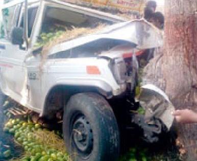 Two killed in Bolero tree collapse | बोलेरो झाडावर आदळून दोन ठार Two killed in Bolero tree collapse | बोलेरो झाडावर आदळून दोन ठार