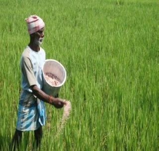 Not only the fertilizer buffer stocks! | खतांच्या बफर स्टॉकचे नियोजनच नाही! Not only the fertilizer buffer stocks! | खतांच्या बफर स्टॉकचे नियोजनच नाही!