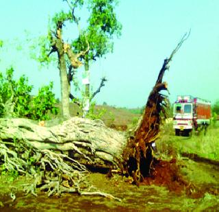 The ephemeral that perennial; Farmer confusion | अवकाळी की बारमाही; शेतकरी संभ्रमात The ephemeral that perennial; Farmer confusion | अवकाळी की बारमाही; शेतकरी संभ्रमात