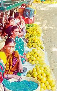 Various varieties of mangoes along with collector increased inward | कलेक्टरसह विविध प्रजातीच्या आंब्यांची आवक वाढली Various varieties of mangoes along with collector increased inward | कलेक्टरसह विविध प्रजातीच्या आंब्यांची आवक वाढली