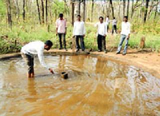 Artificial firewood: | कृत्रिम पाणवठा : Artificial firewood: | कृत्रिम पाणवठा :