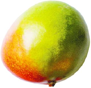 Konkan Railway reduces transport of mangoes | कोकण रेल्वेने आंब्याची वाहतूक कमी होतेय Konkan Railway reduces transport of mangoes | कोकण रेल्वेने आंब्याची वाहतूक कमी होतेय