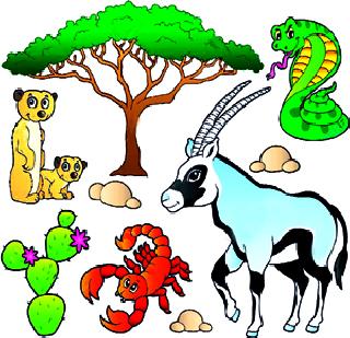 Bio-diversity will be noted | जैवविविधतेची होणार नोंद Bio-diversity will be noted | जैवविविधतेची होणार नोंद
