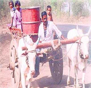 Preparing to face the underprivileged! | अल्पवृष्टीला तोंड देण्याची तयारी!