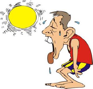 The heat wave prevails over 700 people | उष्णतेचा कहर सुरूच बळीसंख्या ७०० वर