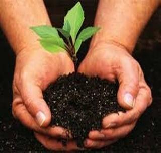 Environment Week will be celebrated in the state | राज्यात साजरा होणार पर्यावरण सप्ताह