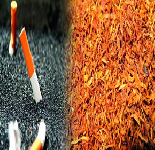 Tobacco says 'terrible addiction'! | तंबाखूला ‘भयंकर व्यसन’ म्हणा तरी! Tobacco says 'terrible addiction'! | तंबाखूला ‘भयंकर व्यसन’ म्हणा तरी!
