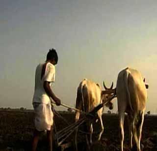 Kharif cropcircle of nationalized banks 'Latitif' | खरीप पीककर्ज वाटपात राष्ट्रीयीकृत बँका ‘लेटलतीफ’