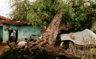 Storm hits | वादळाचा तडाखा... Storm hits | वादळाचा तडाखा...